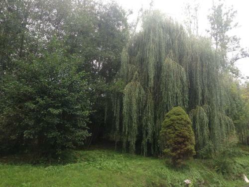 Hostal Guesthouse Nackerm�hle