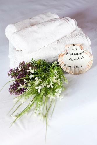 Bed & Breakfast La Rosa Del Agua