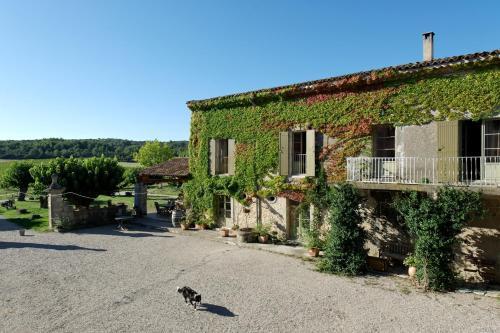 Bed & Breakfast Domaine De Pelican