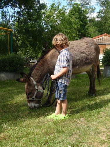 Camping L'oasis