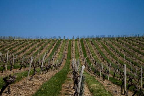 Bed & Breakfast Ch�teau Pi�gu�