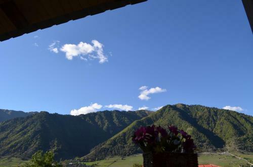 Hostal Cottage Shgedi