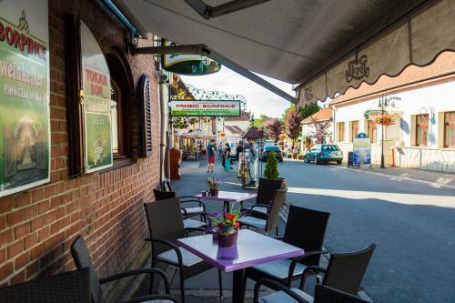 Bed & Breakfast Vask� Panzi� Borpince