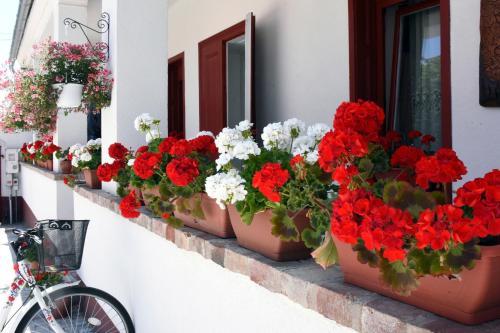 Hostal Vera Vend�gh�z