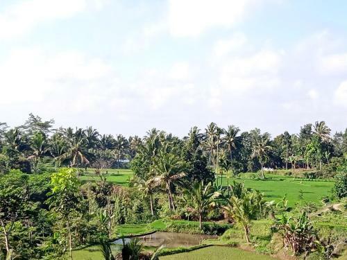 Tereng Wilis Jungle Inn