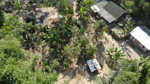 Tereng Wilis Jungle Inn