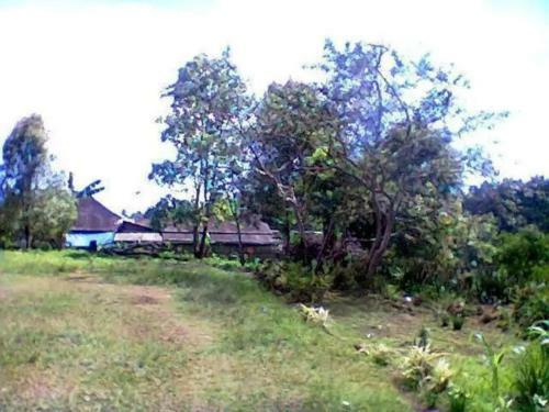Tomohon Homestay Apelez House