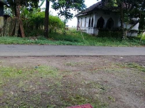 Bed & Breakfast Ijen Java Homestay