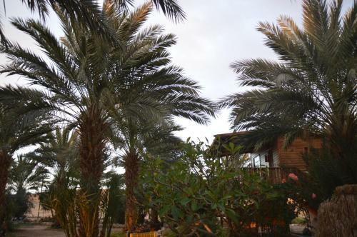 Lodge Shkutai Hottub Arava