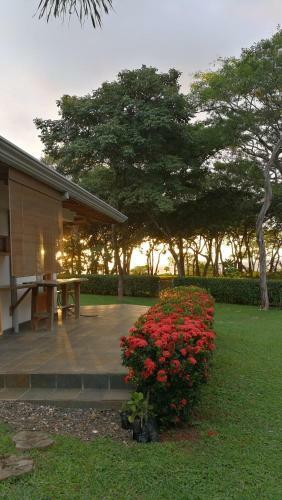 Hostal Oceanfront Gem At La Joya De Lagarto