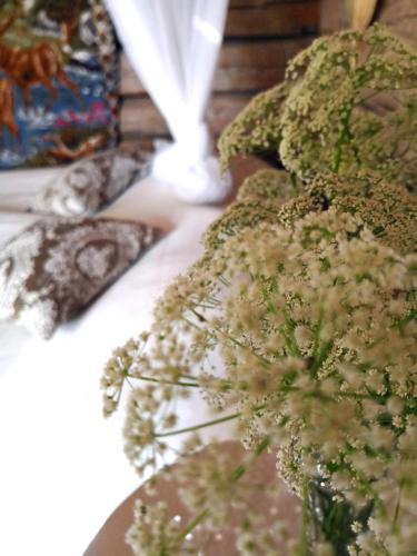 Bed & Breakfast Er�j�rven Eerola Aittahuone (summer Room)