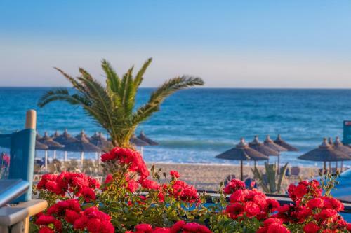 Hotel Whitesands Beach Resort