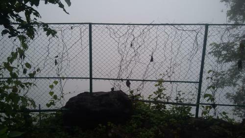 The Hillock Resorts- Quiet By The Mountains
