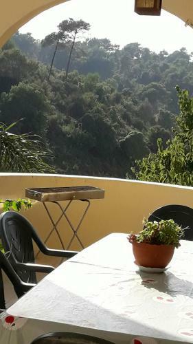 Lodge Sawsan's Suites