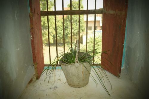 Castle Namahstay Hostel & Art Space