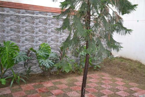 Bed & Breakfast Villa Green