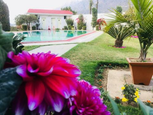 Hotel Asia Vaishnodevi