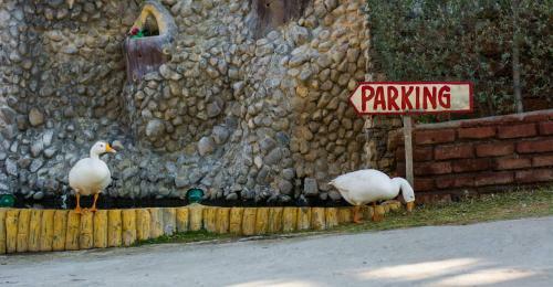 Hotel Lake Alpi Kumbhalgarh