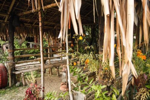 Hostal Ethnic Cocoon Homestay