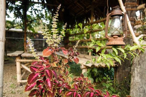 Hostal Ethnic Cocoon Homestay