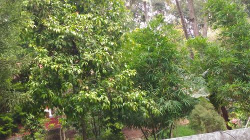 Agroturismo Philip Mary Farm Stay
