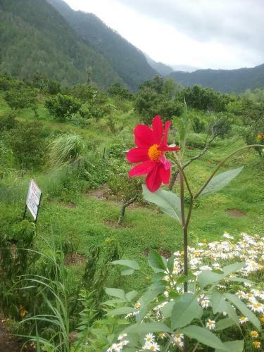Agroturismo Divine Living Home Stay
