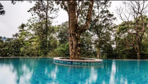Hotel Elixir Hills Suites Resort And Spa