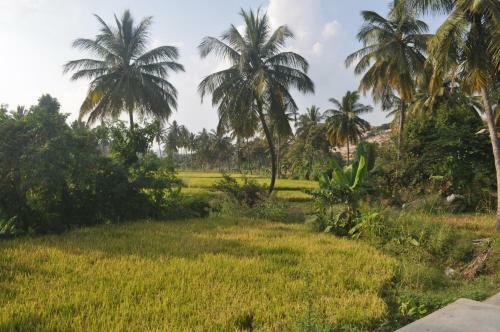 Tutti Hampi Tents & Cafe