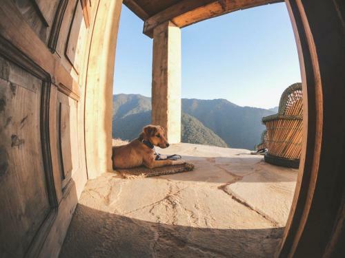 The Goat Village Nag Tibba