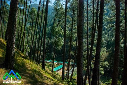 Hotel Chaukhamba Camps & Huts