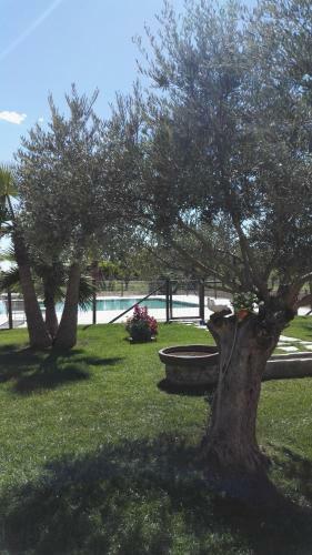 Agroturismo Agriturismo San Gallo