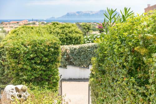 Apartamento Appartamento Le Farfalle 19