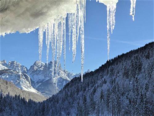Apartment El Fogher In Dolomites