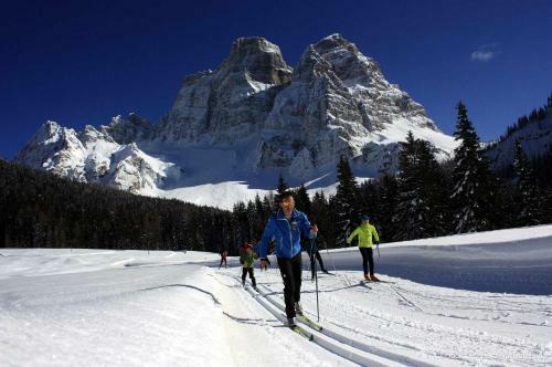 Apartment El Fogher In Dolomites