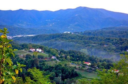 Agroturismo Forni Rosaia