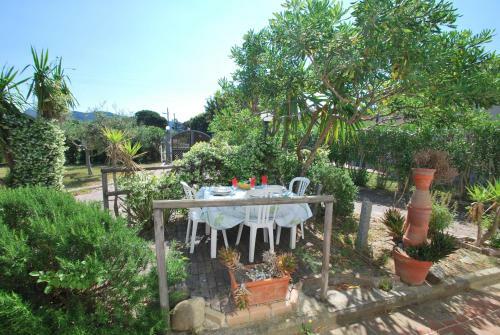 Apartamento Appartamenti Anemone