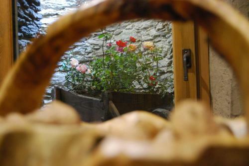 Bed & Breakfast Brieis Relais Alpino