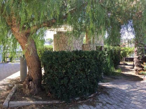 Apartamento Un Affaccio Sul Porto-res. La Vela