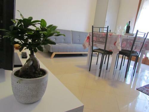 Siviero Apartments