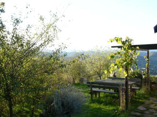 Lodge Chalet Il Bosco Dei Mille Frutti