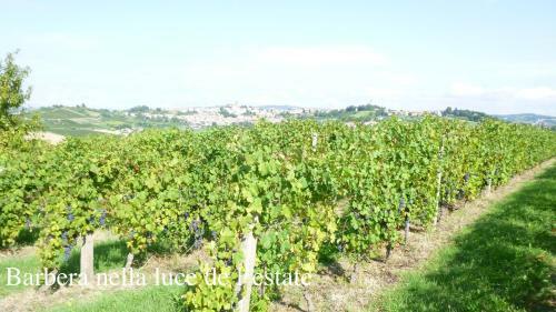Bed & Breakfast Villa Hortensia Maison D'h�tes