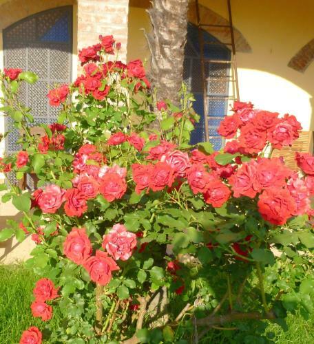 Bed & Breakfast Villa Hortensia Maison D'h�tes
