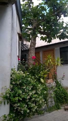 Hostal Locanda Al Castello