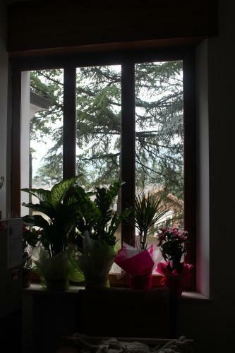 Hotel Albergo Dragone