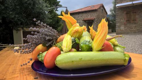 Agroturismo Agripodere Il Falco