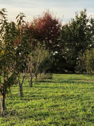 Agroturismo Cascina San Giorgio