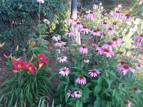 Motel The Inn At Lock Seven