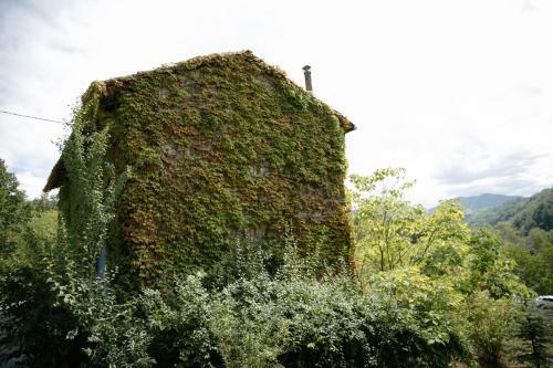 Agroturismo Agriturismo Il Melo Rosso