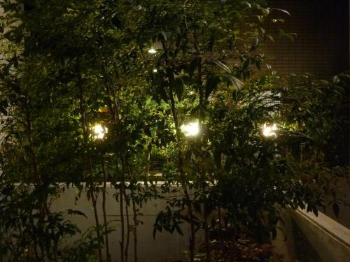 Apartamento Nagoya Motoyama House D