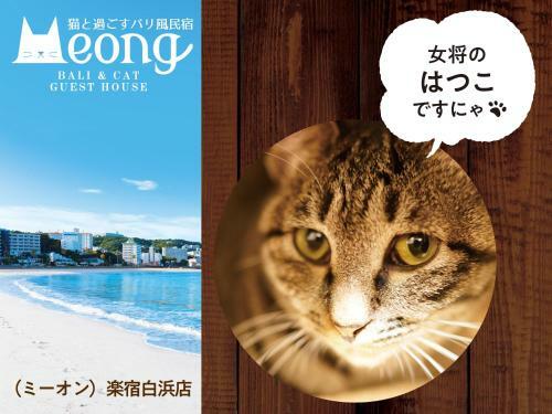 Hostal Bali & Cat Guest House